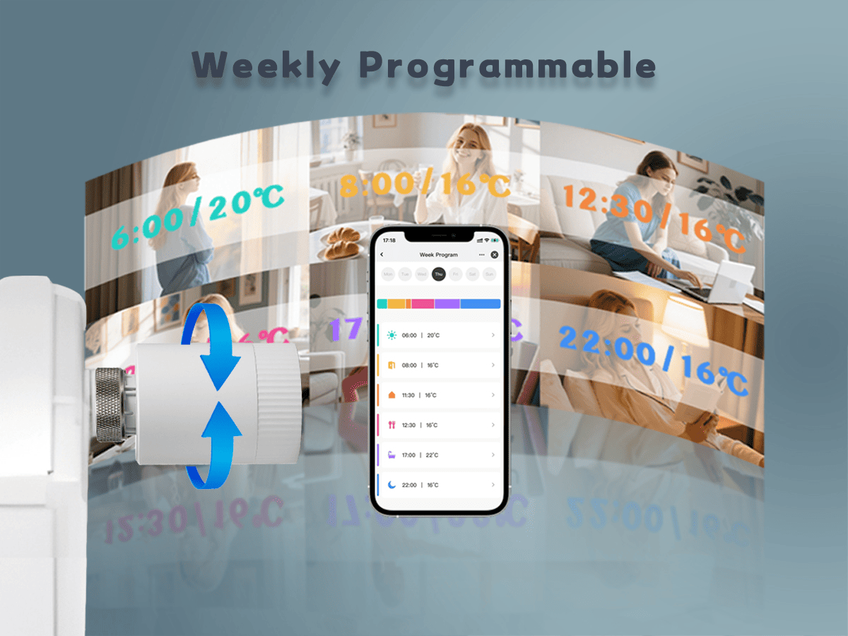 Programmable modes, personalised settings, daily heating schedules, DIY