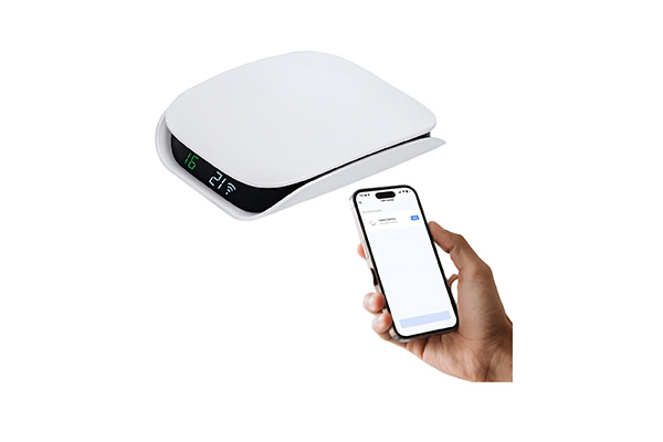 Home Automation Hubs & Controllers